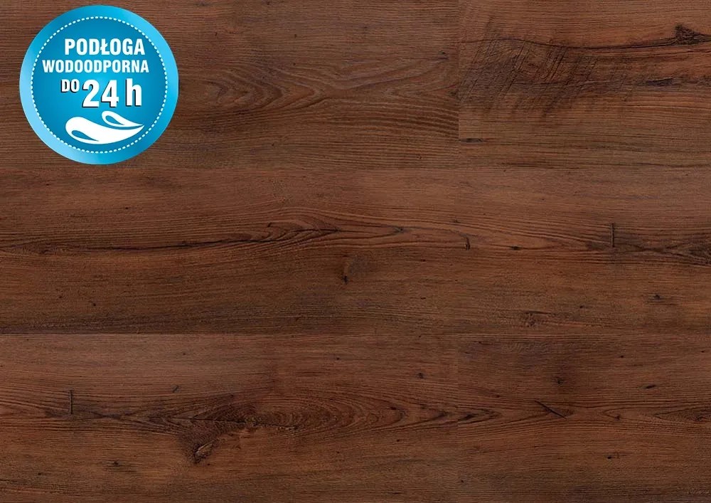 Swiss Krono Panel podłogowy Dąb Boyen 8 mm AC 5 Swiss Krono Panel podłogowy Dąb Boyen 8 mm AC 5