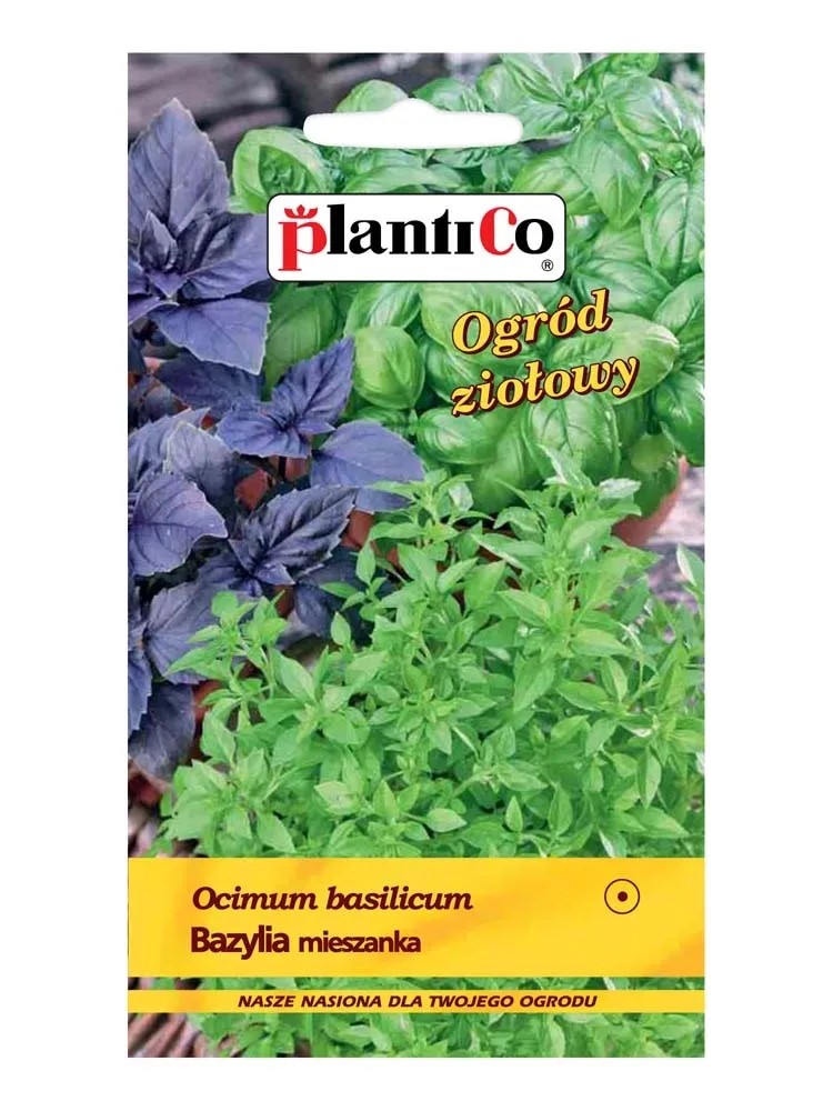 Bazylia mieszanka Bazylia mieszanka
