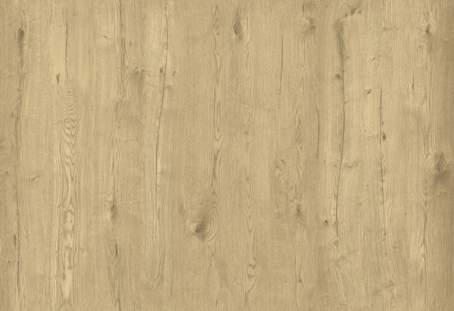 Swiss Krono Panele podłogowe Dąb Monza 8 mm AC4 Swiss Krono Panele podłogowe Dąb Monza 8 mm AC4