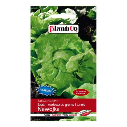 Sałata masłowa Nawojka - 1 g Sałata masłowa Nawojka - 1 g