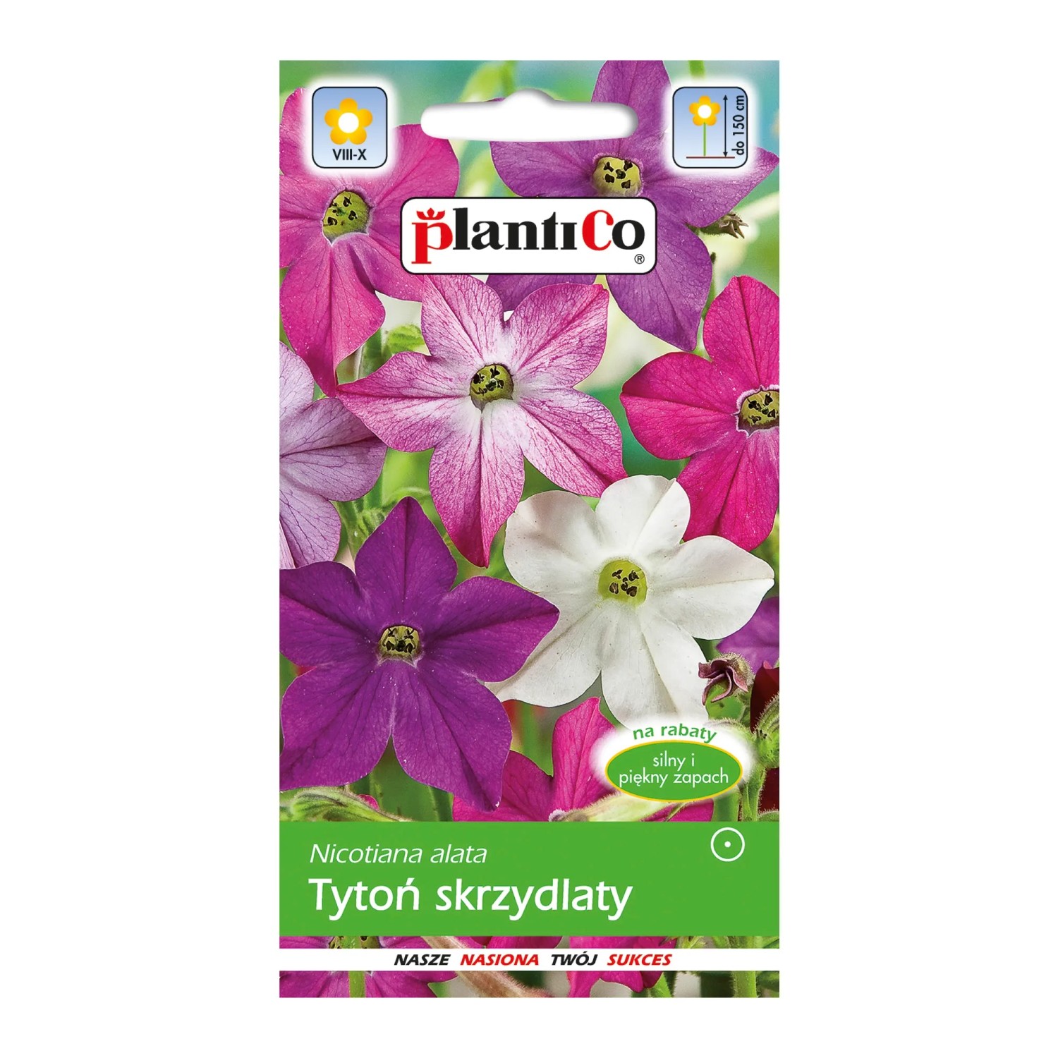 Tytoń ozdobny mix Tytoń ozdobny mix