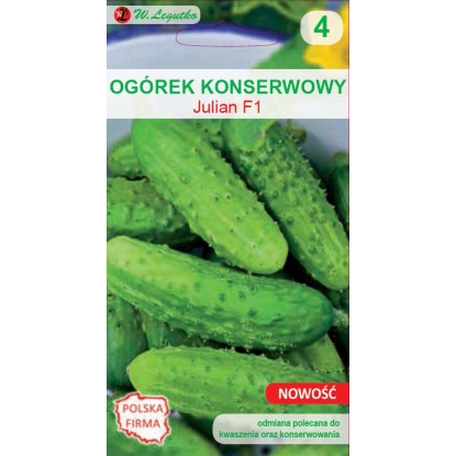 Ogórek (Cucumis sativus) Julian Ogórek (Cucumis sativus) Julian