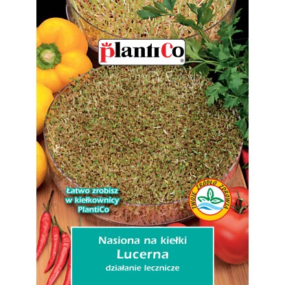 Nasiona na Kiełki lucerny Nasiona na Kiełki lucerny