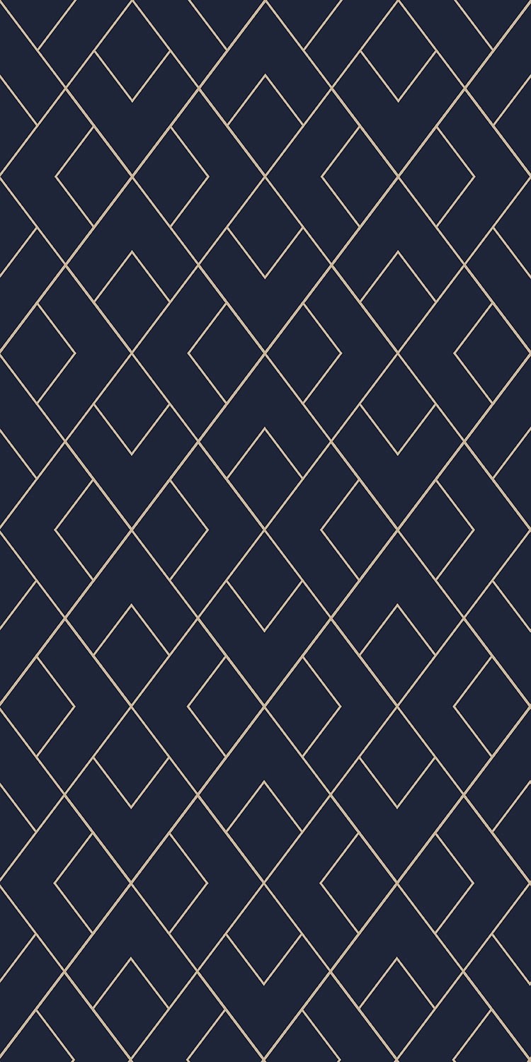 Direct H&G Dywan SOFIA geometria 80 x 150 cm ciemnoniebieski Direct H&G Dywan SOFIA geometria 80 x 150 cm ciemnoniebieski