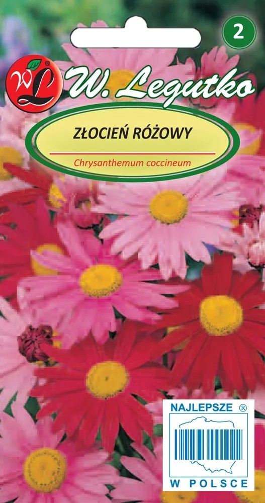 Złocień różowy mieszanka 0,3 g Złocień różowy mieszanka 0,3 g