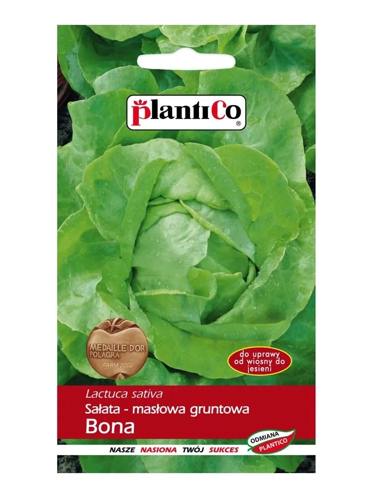 Sałata masłowa Bona - 1 g Sałata masłowa Bona - 1 g