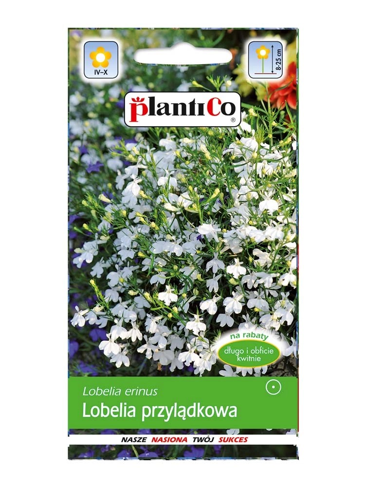 Lobelia Przyl Dkowa Stroiczka Bia A Kupuj W Obi