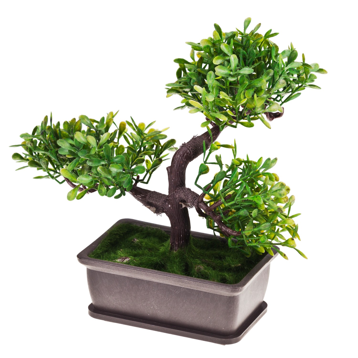 Rojek-Decor Drzewko ozdobne bonsai Rojek-Decor Drzewko ozdobne bonsai