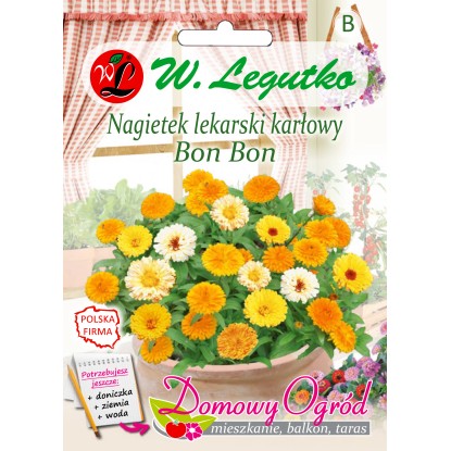 Nagietek lekarski Nagietek lekarski