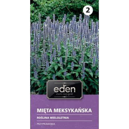 Mięta meksykańska - 0,1 g Mięta meksykańska - 0,1 g