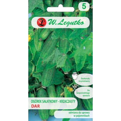 Ogórek sałatkowy Dar - 5 g Ogórek sałatkowy Dar - 5 g