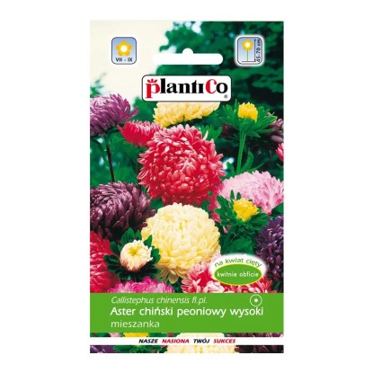 Aster chiński peoniowy mix Aster chiński peoniowy mix