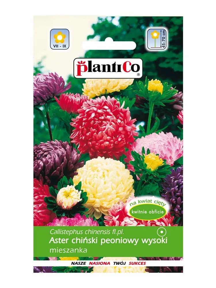 Aster chiński peoniowy mix Aster chiński peoniowy mix