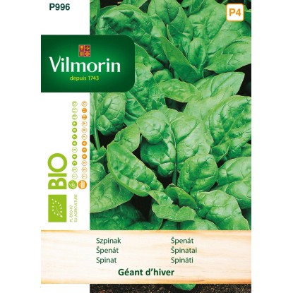 Szpinak całoroczna bio Geant d'hiver - 10 g Szpinak całoroczna bio Geant d'hiver - 10 g