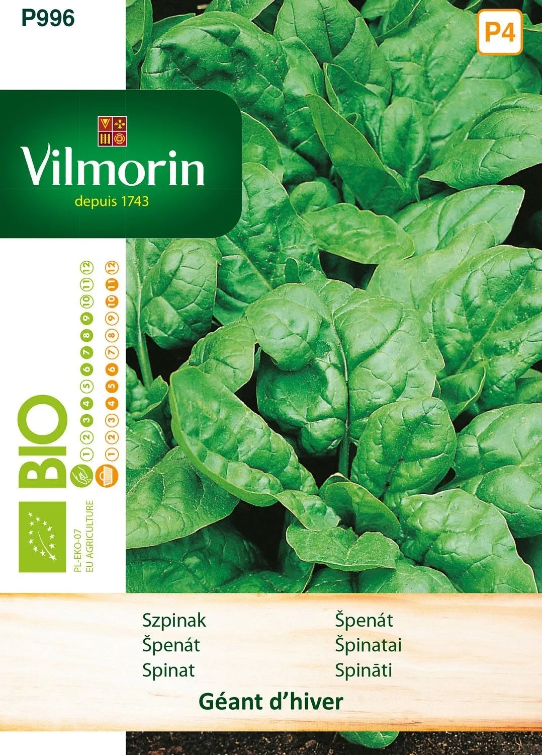 Szpinak całoroczna bio Geant d'hiver - 10 g Szpinak całoroczna bio Geant d'hiver - 10 g
