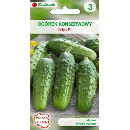 Ogórek gruntowy konserwowy Odys - 5 g Ogórek gruntowy konserwowy Odys - 5 g