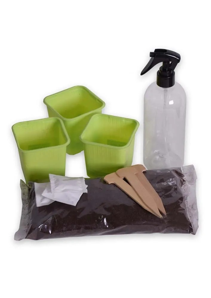 Smaczne kwiatki Smaczne kwiatki