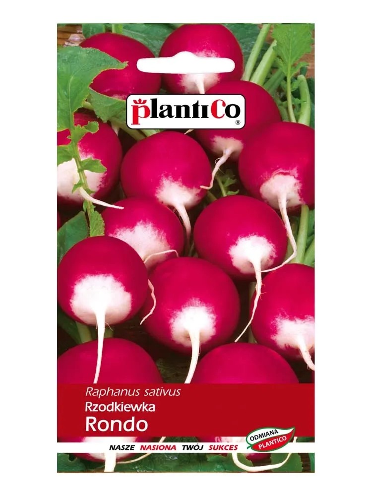 Rzodkiewka Rondo Rzodkiewka Rondo