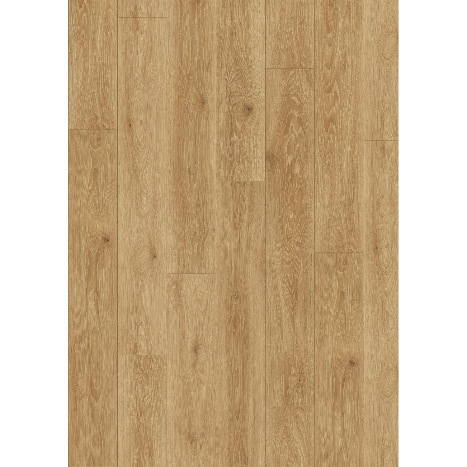 Kronostep Panel podłogowy Dąb Dalby AC5 8mm Kronostep Panel podłogowy Dąb Dalby AC5 8mm