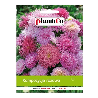 Kompozycja różowa Kompozycja różowa