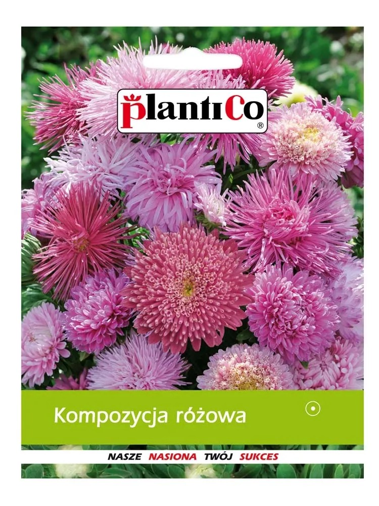 Kompozycja różowa Kompozycja różowa