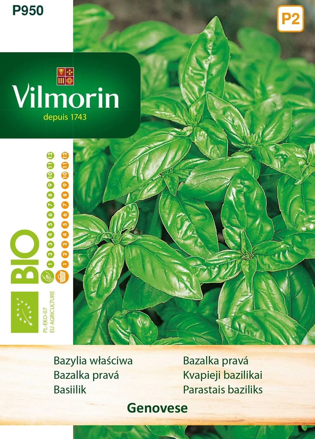 Bazylia właściwa bio Genovese - 1 g Bazylia właściwa bio Genovese - 1 g