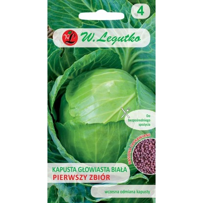 Legutko Kapusta głowiasta biała pierwszy zbiór 2g Legutko Kapusta głowiasta biała pierwszy zbiór 2g