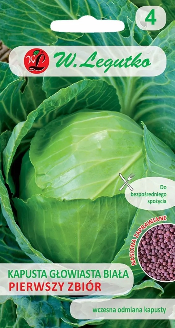 Legutko Kapusta głowiasta biała pierwszy zbiór 2g Legutko Kapusta głowiasta biała pierwszy zbiór 2g