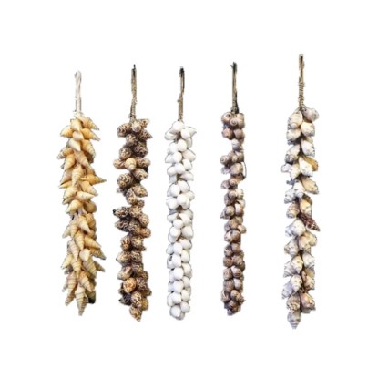 Sznur muszli mix - dł. 30 cm Sznur muszli mix - dł. 30 cm