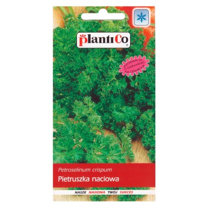 Pietruszka liściowa kędzierzawa Pietruszka liściowa kędzierzawa