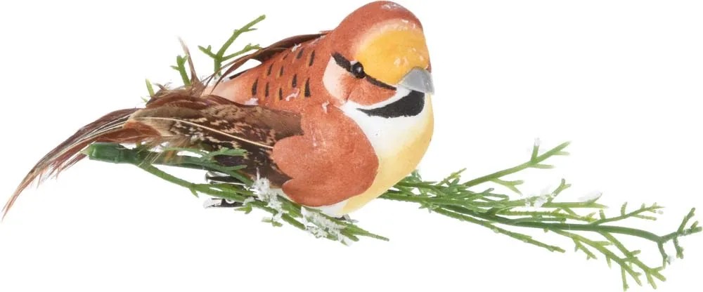 Ptaszek na klipsie mix kolorów Ptaszek na klipsie mix kolorów