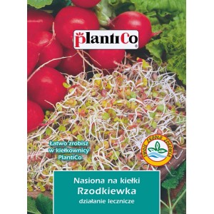 Nasiona na kiełki rzodkiewki, idealne do uprawy w słoiku.