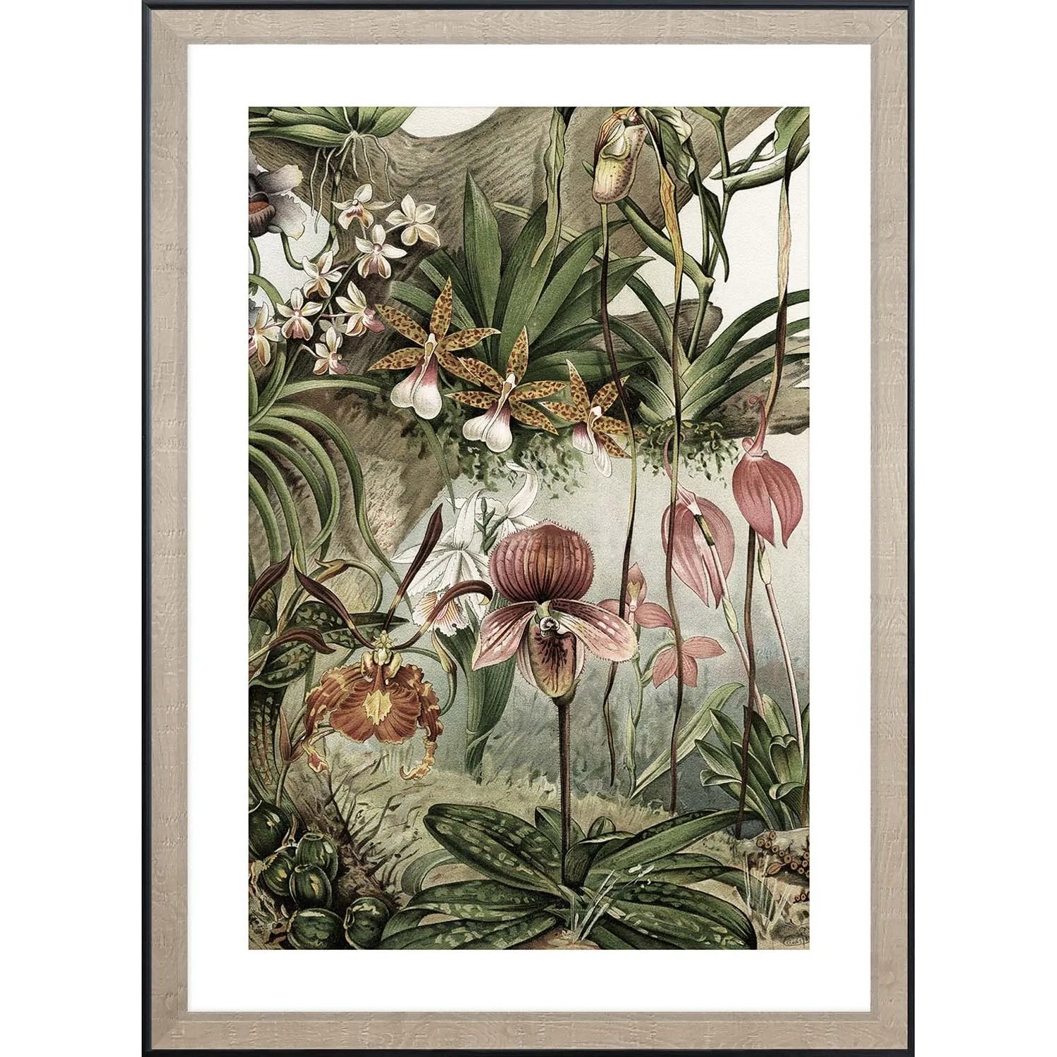 ARS LONGA Obraz TROPICAL ORCHIDS 55 x 75 cm