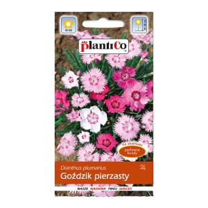 Opakowanie nasion kwiatów t.b.t., różowe, czerwone i białe kwiaty. Kategoria: Nasiona kwiatów.