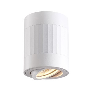 Biały reflektor sufitowy t.b.t. Spoty z regulowanym światłem.