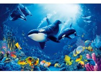 Fototapeta Delight of Life 384 x 260 cm