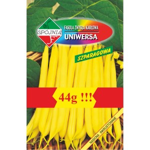 Opakowanie nasion fasoli zwykłej karłowej 'Uniwersa' Spójnia, 44g.