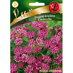 Opakowanie nasion kwiatów Trojanesse 'Cinderella' z różowymi kwiatami.