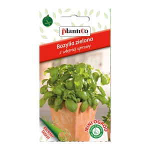 Zdjęcie opakowania nasion bazylii Plantico z rośliną bazylii w doniczce.