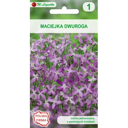 Maciejka dwuroga 5,00g