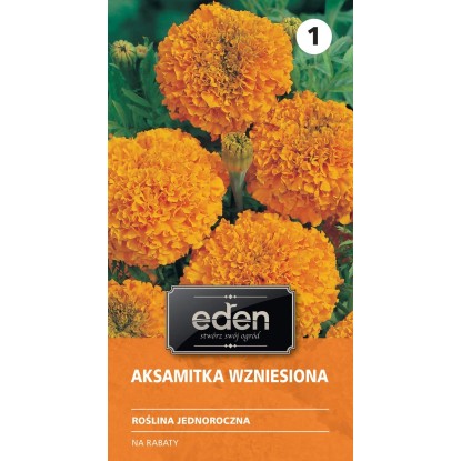 Aksamitka wzniesiona Hawaii - 0,8 g