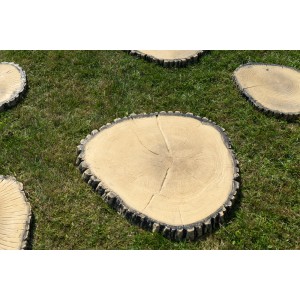 Kilka plastrów drewna jako płyty tarasowe/chodnikowe na trawniku. t.b.t.