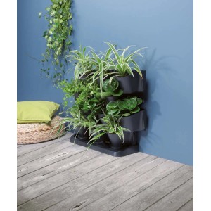 Czarna, pionowa doniczka wisząca t.b.t. z roślinami na niebieskiej ścianie.