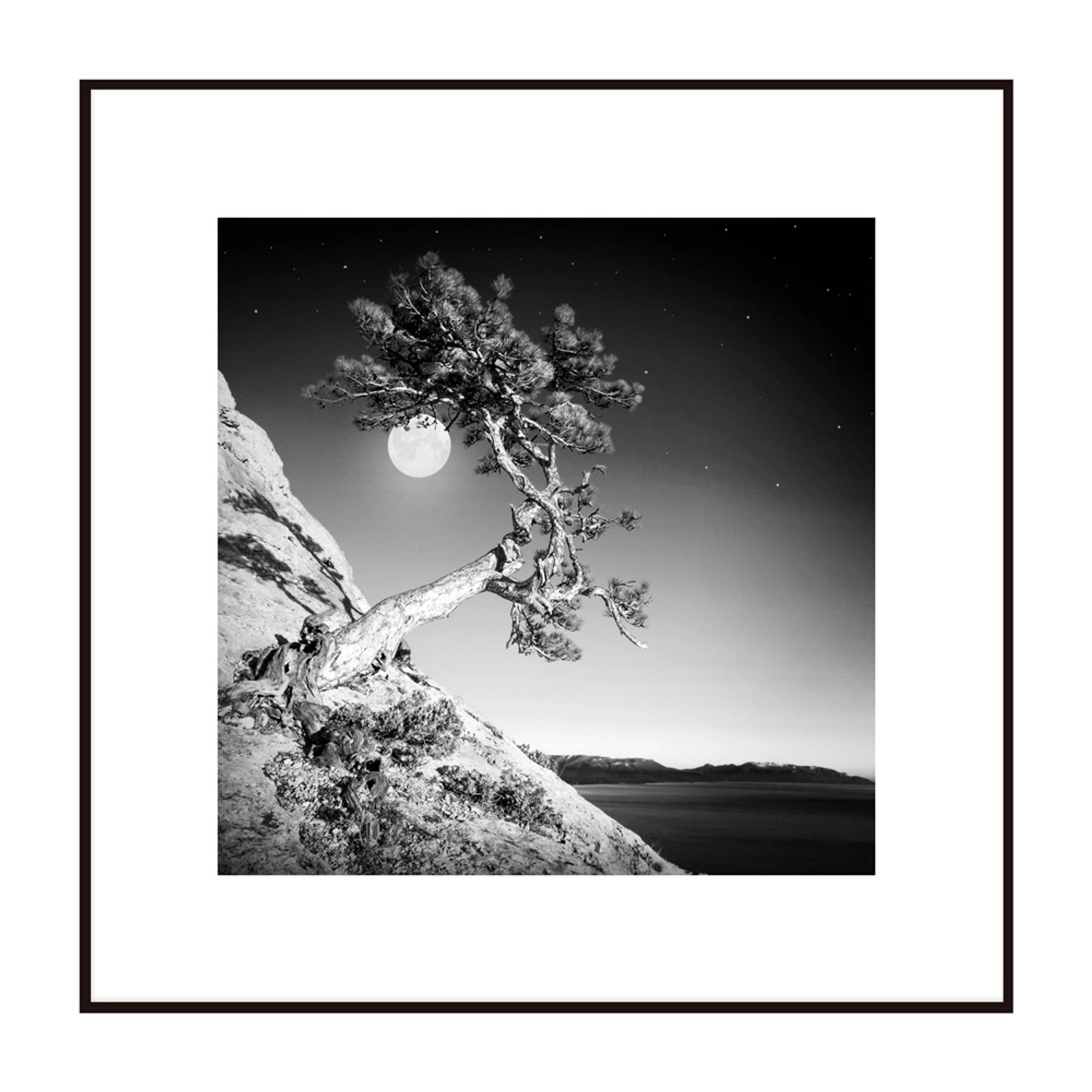 Obraz Artbox MOON TREE 50 cm x 50 cm