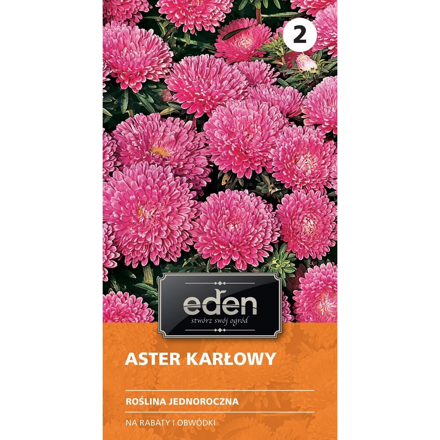 Aster chiński karłowy Holderlin - 0,5 g