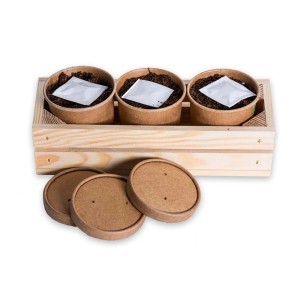 t.b.t. Zestaw do uprawy nasion z drewnianą tacą, ziemią, nasionami i pokrywkami.