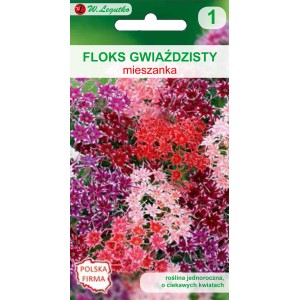 Opakowanie nasion floksa gwiaździstego mieszanki. Kwiaty w odcieniach czerwieni, różu i fioletu.