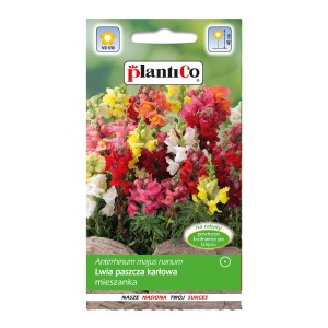 Opakowanie nasion lwiej paszczy: Kolorowa mieszanka kwiatów na rabaty i do ogrodów.