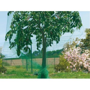 Drzewo z siatką ochronną na ptaki 5x2 m do ochrony owoców i jagód.