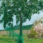 Drzewo z siatką ochronną na ptaki 5x2 m do ochrony owoców i jagód.